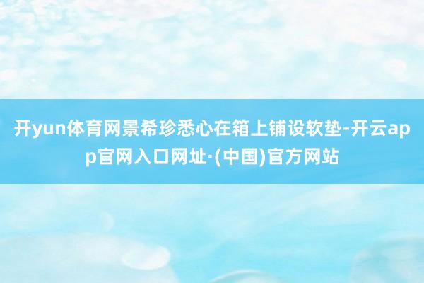 开yun体育网景希珍悉心在箱上铺设软垫-开云app官网入口网址·(中国)官方网站