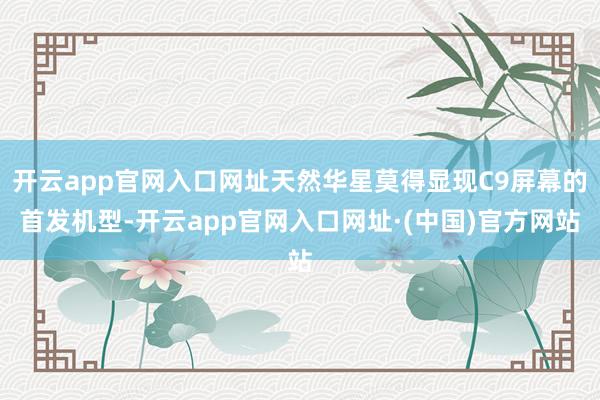 开云app官网入口网址天然华星莫得显现C9屏幕的首发机型-开云app官网入口网址·(中国)官方网站