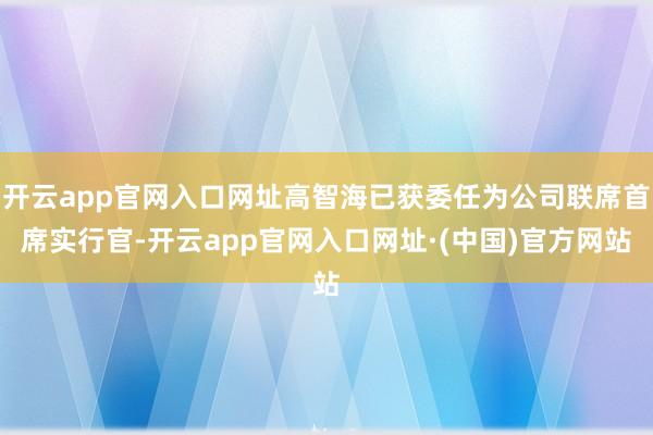 开云app官网入口网址高智海已获委任为公司联席首席实行官-开云app官网入口网址·(中国)官方网站