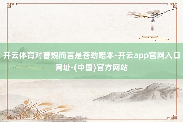 开云体育对曹魏而言是苍劲赔本-开云app官网入口网址·(中国)官方网站