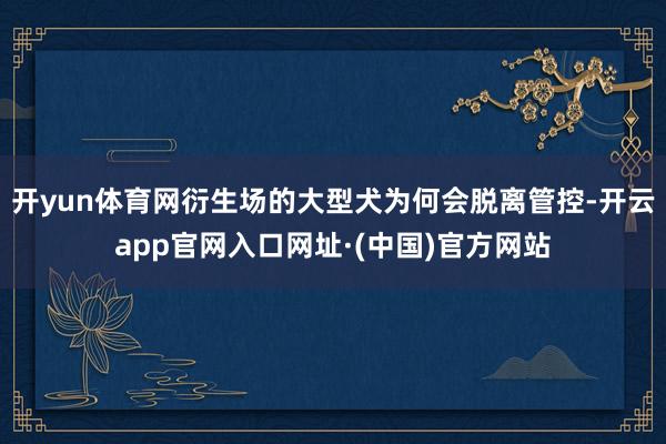 开yun体育网衍生场的大型犬为何会脱离管控-开云app官网入口网址·(中国)官方网站